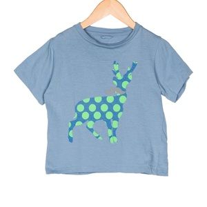 Boys Graphic T-Shirt